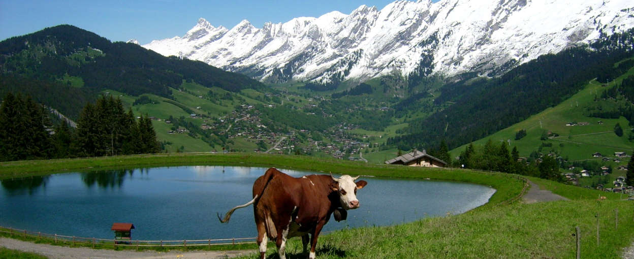 vacances à la montagne